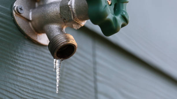 Best Clogged Drain Plumber  in Romeovle, IL